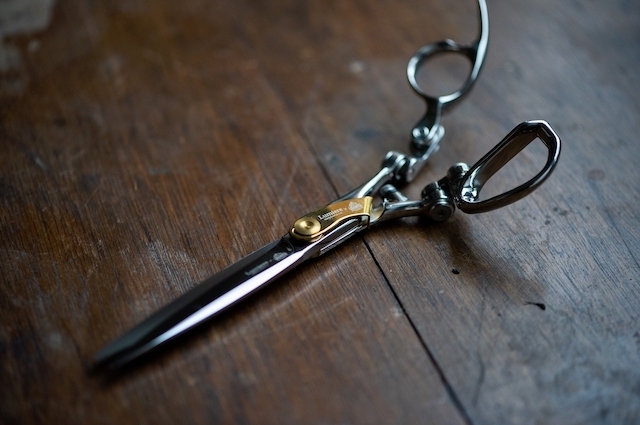 Kazu-K さま専用出品 スイングルシトロメロ種子、苗 Kazu-K さま専用