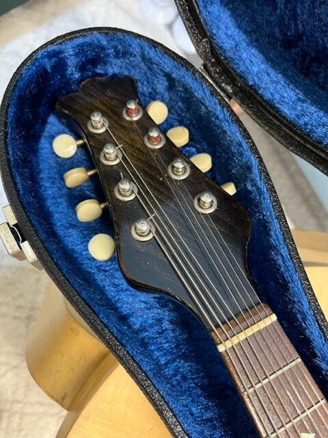 楽器情報】中古マンドリン入荷しました Suzuki Mandolin No.6 – ハタ楽器