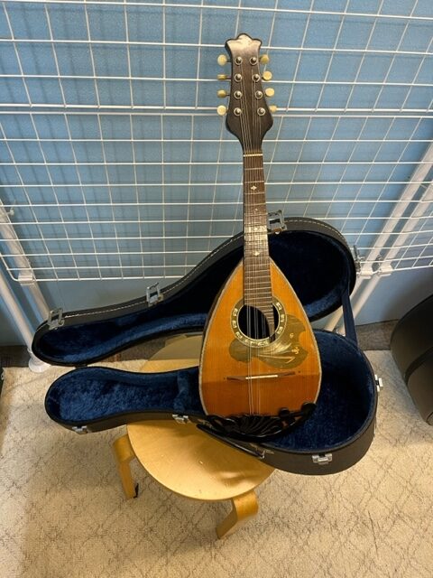 楽器情報】中古マンドリン入荷しました Suzuki Mandolin No.6 – ハタ楽器