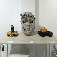 展示情報・記録｜早川剛の主に現代日本画