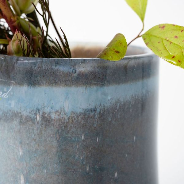 H.Clemence ラナイ