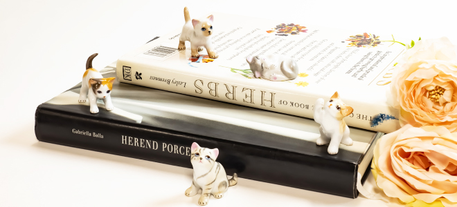 ファンシー] 子猫 ルッキングアップ