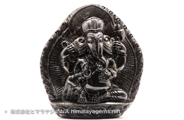 アンモナイト | 株式会社ヒマラヤジェムス