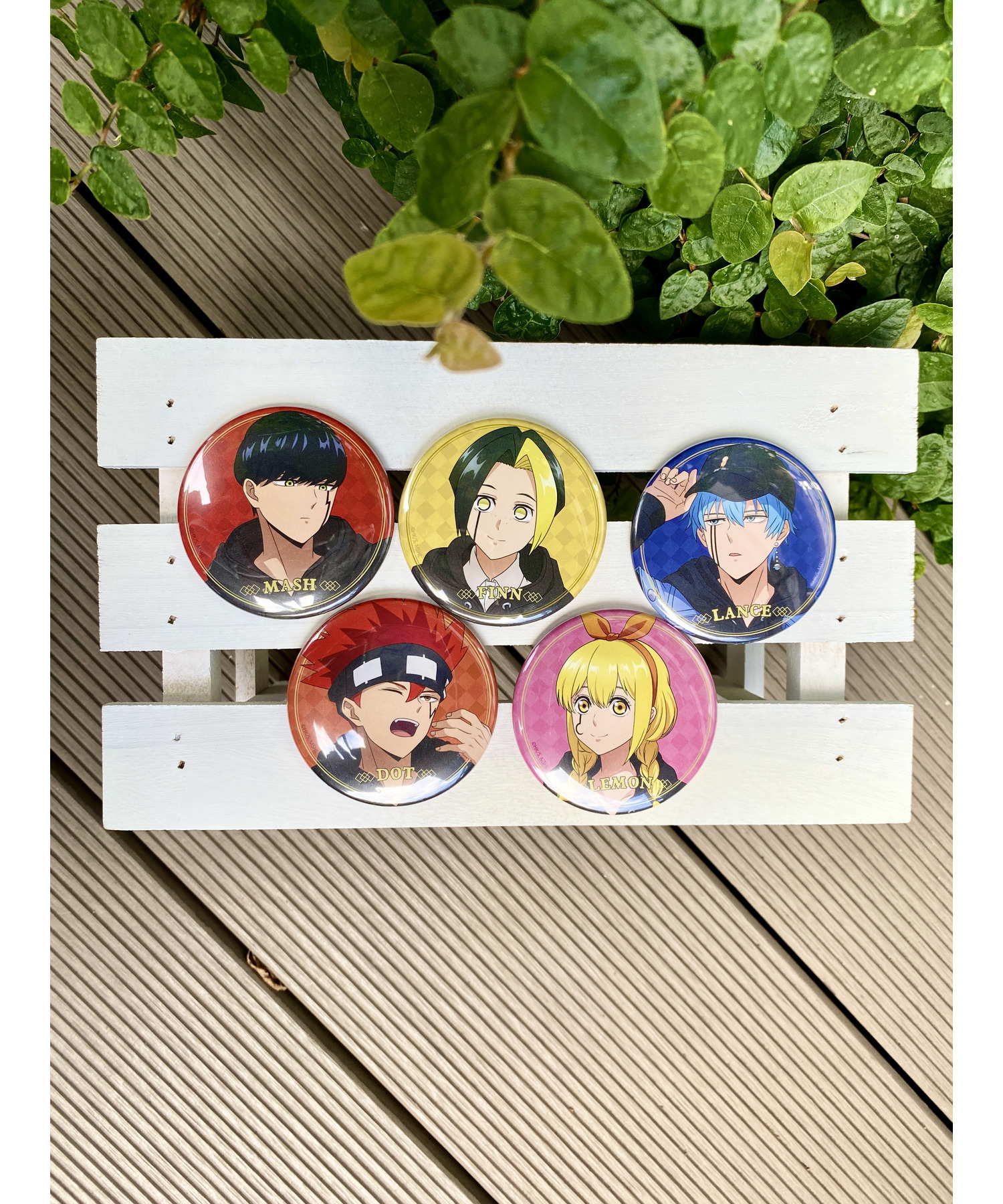 TVアニメ「マッシュル-MASHLE-」描き下し缶バッジセット｜HICUL ONLINE