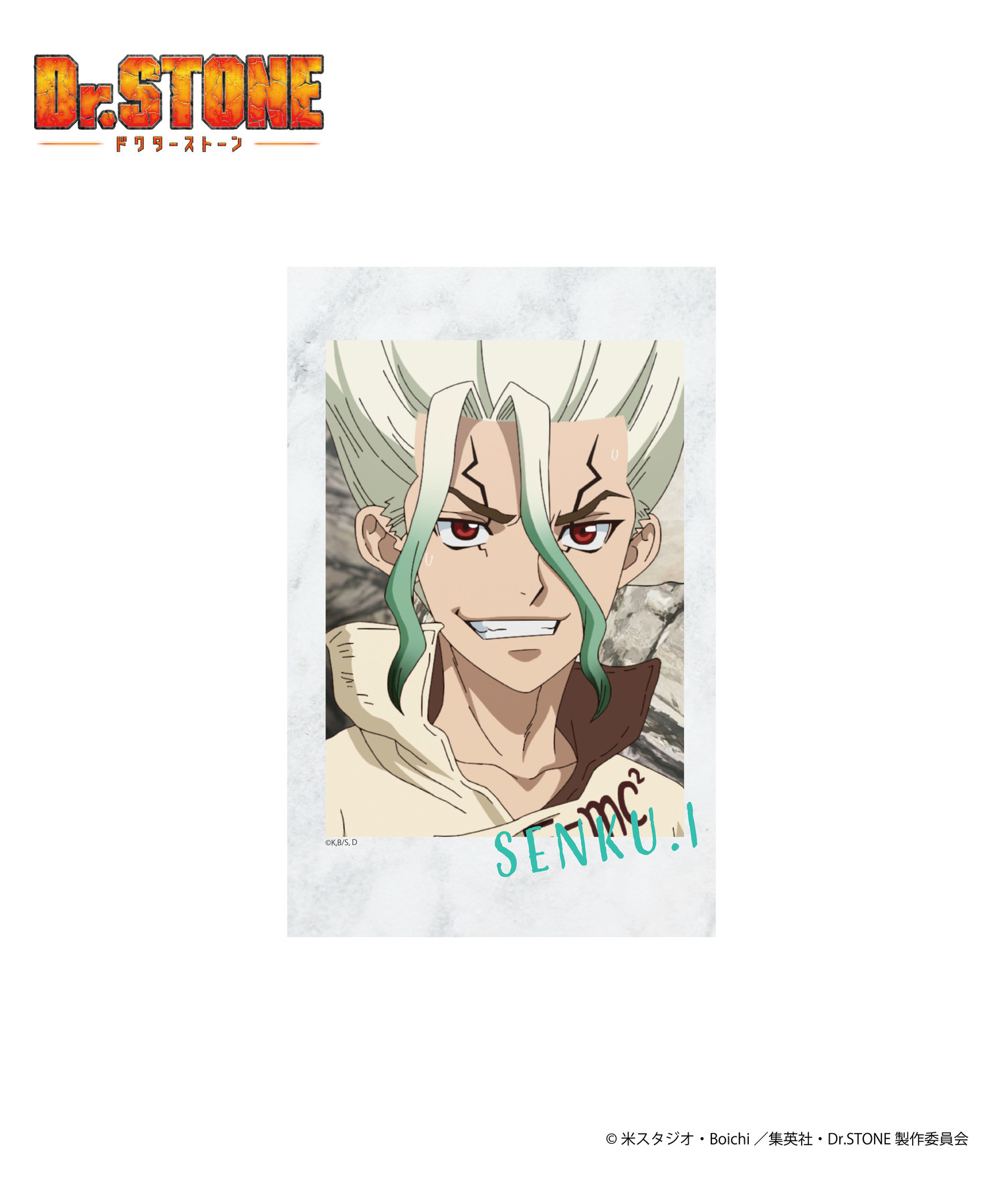 TVアニメ『Dr.STONE』（ドクターストーン）チェキ風カードセット