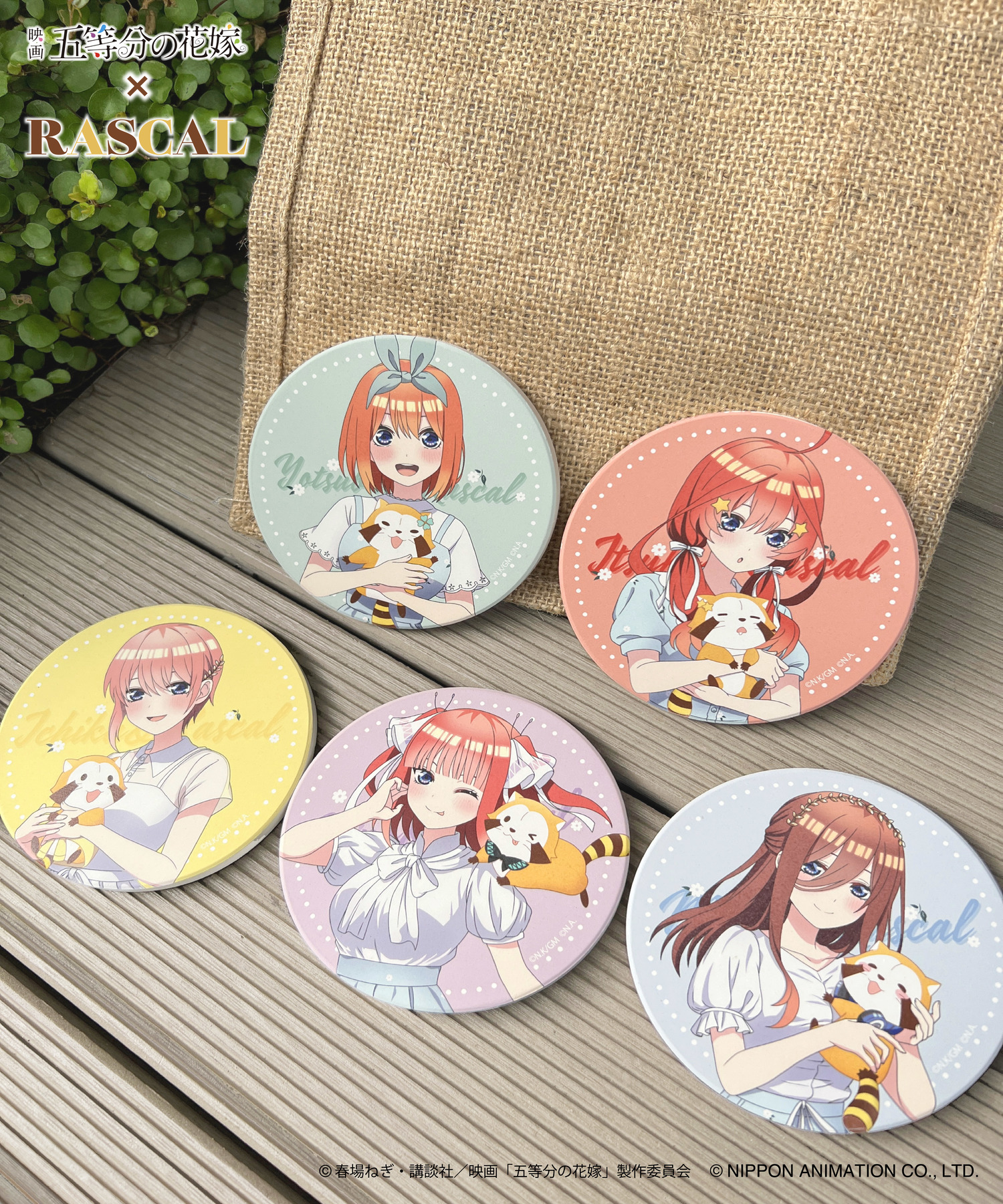 映画「五等分の花嫁」×ラスカル_HICUL（ハイカル）新規描きおろし_吸水