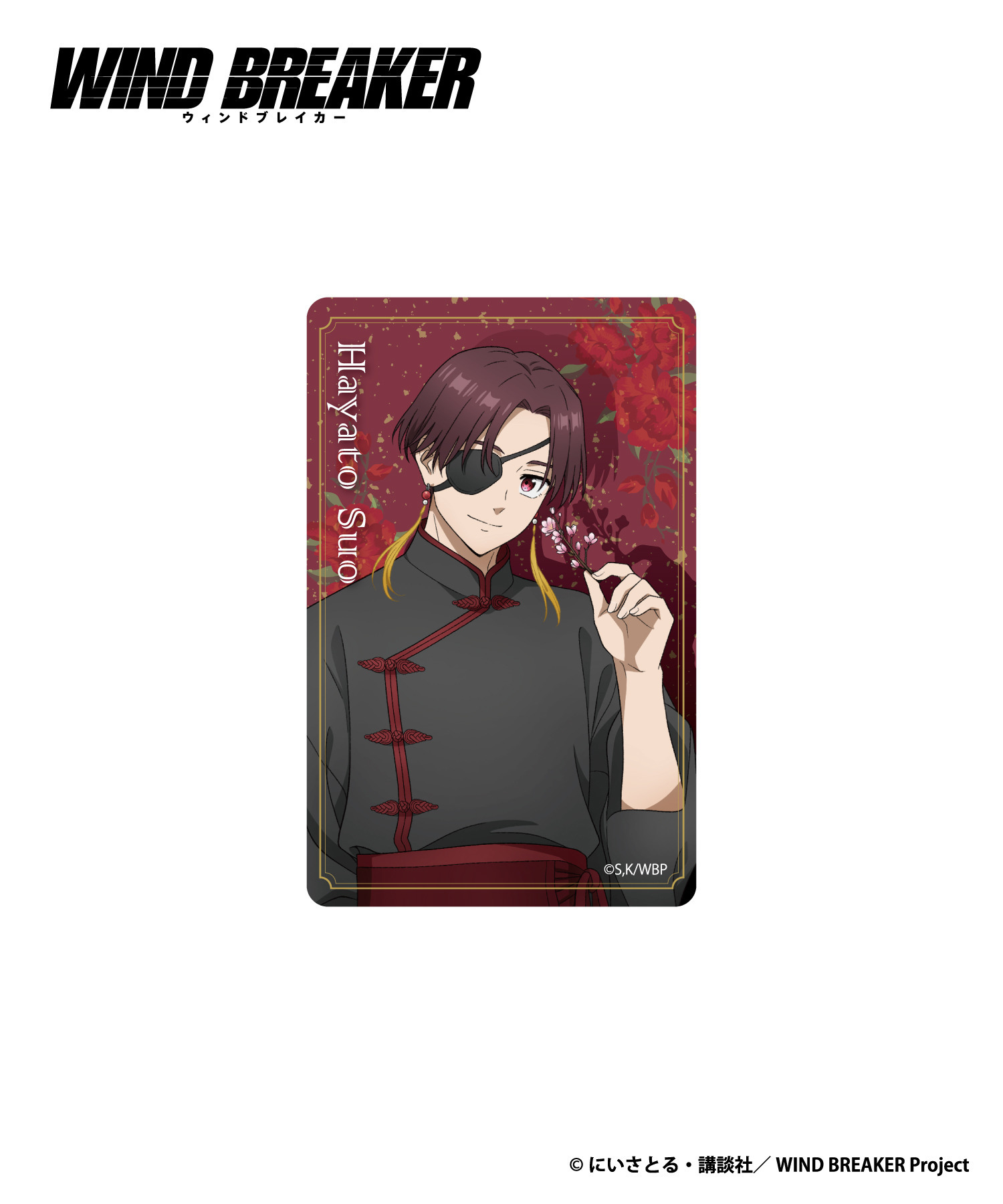 TVアニメ『WIND BREAKER』クリアファイル&カードセット_蘇枋隼飛