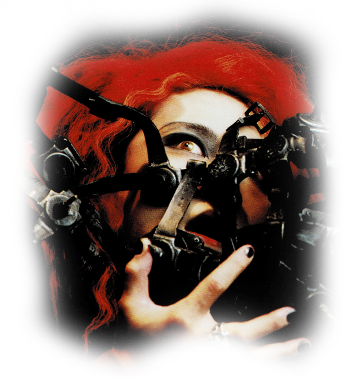 Crazy Pig Designs & hide