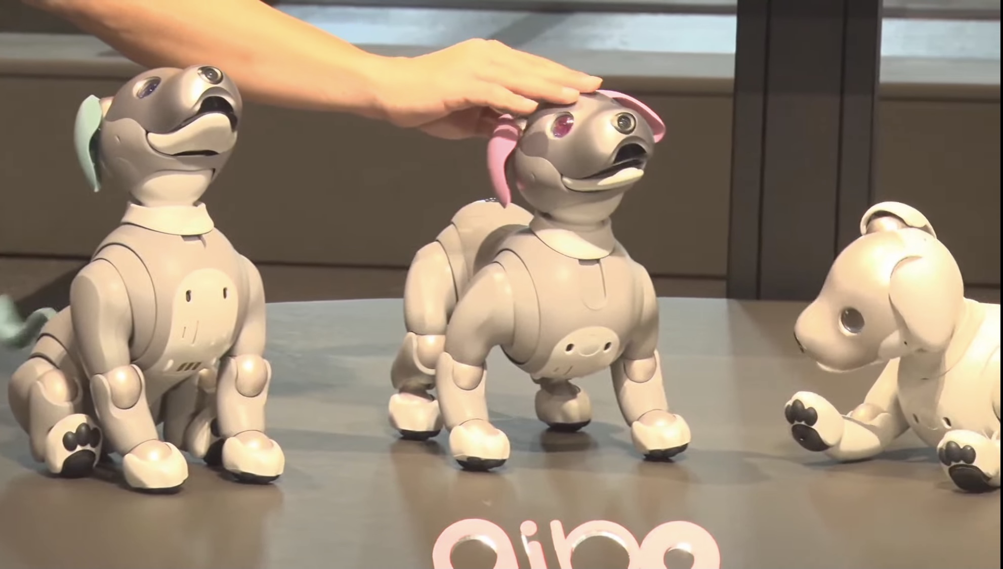 予約販売開始】aiboの付け替え用オリジナルカラーの「耳＆しっぽ」が