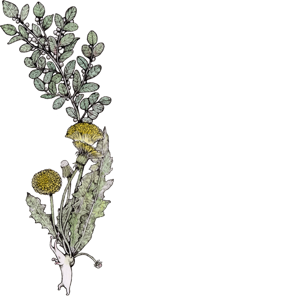 映画『エクソシスト』オルタナティブポスター｜ヒグチユウコ Higuchi