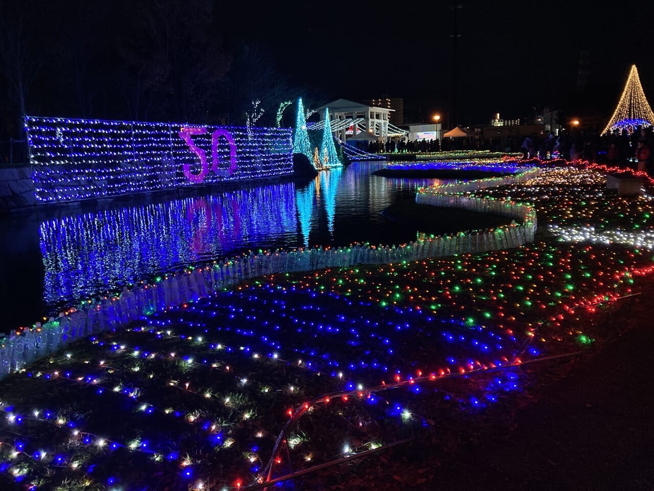 東近江市】12月24日まで、20回目の節目を迎えるイルミネーション