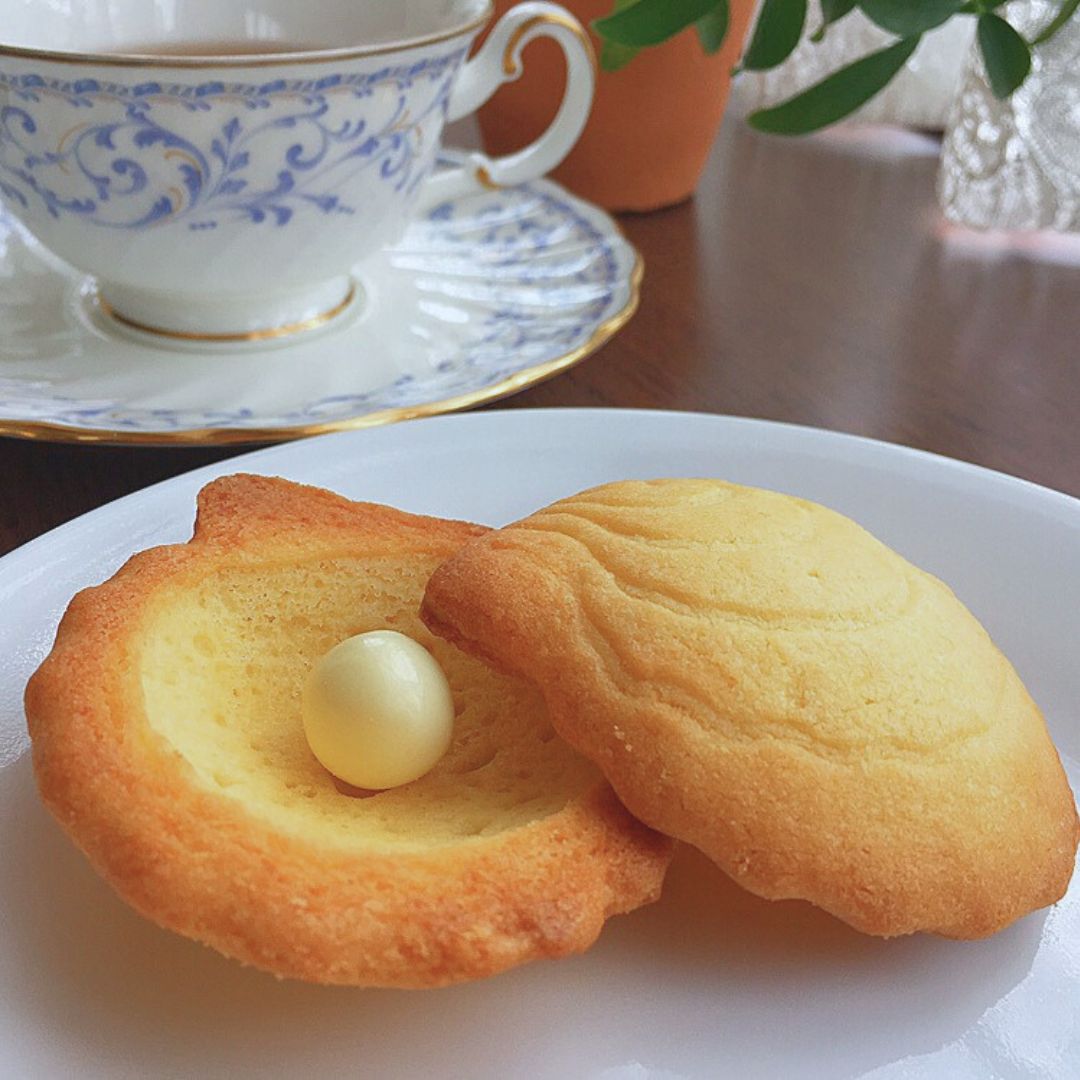 ボシェル ホワイトチョコレート 10枚入り(10枚入り ホワイト