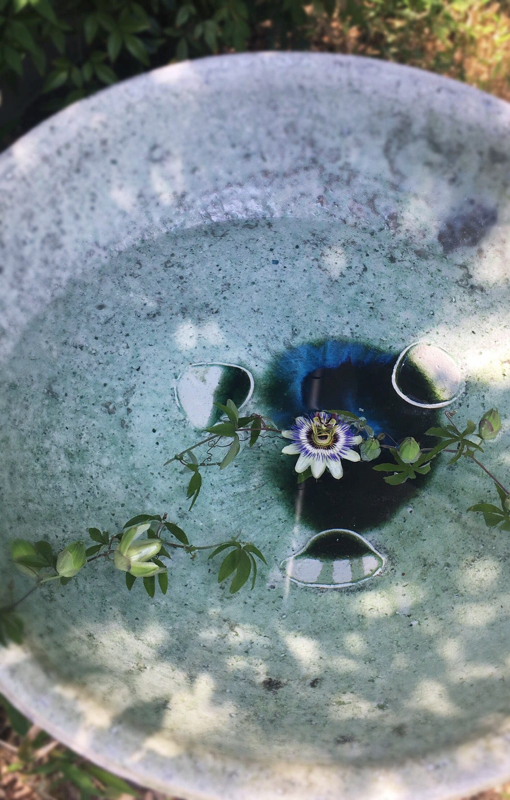 辻村 唯流の自然釉”を追求する陶芸家の矜持【永松仁美─My favorite