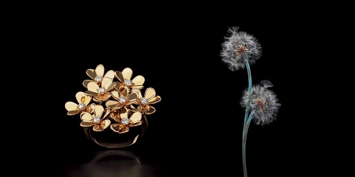 cover05-676a25f8426d5.png?crop