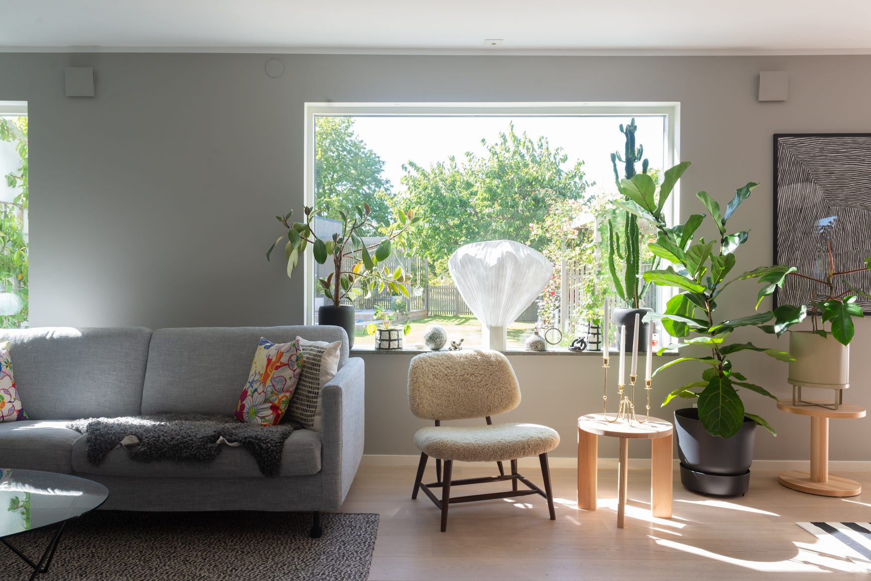 dsc-5177-691c08abc761f.jpg?