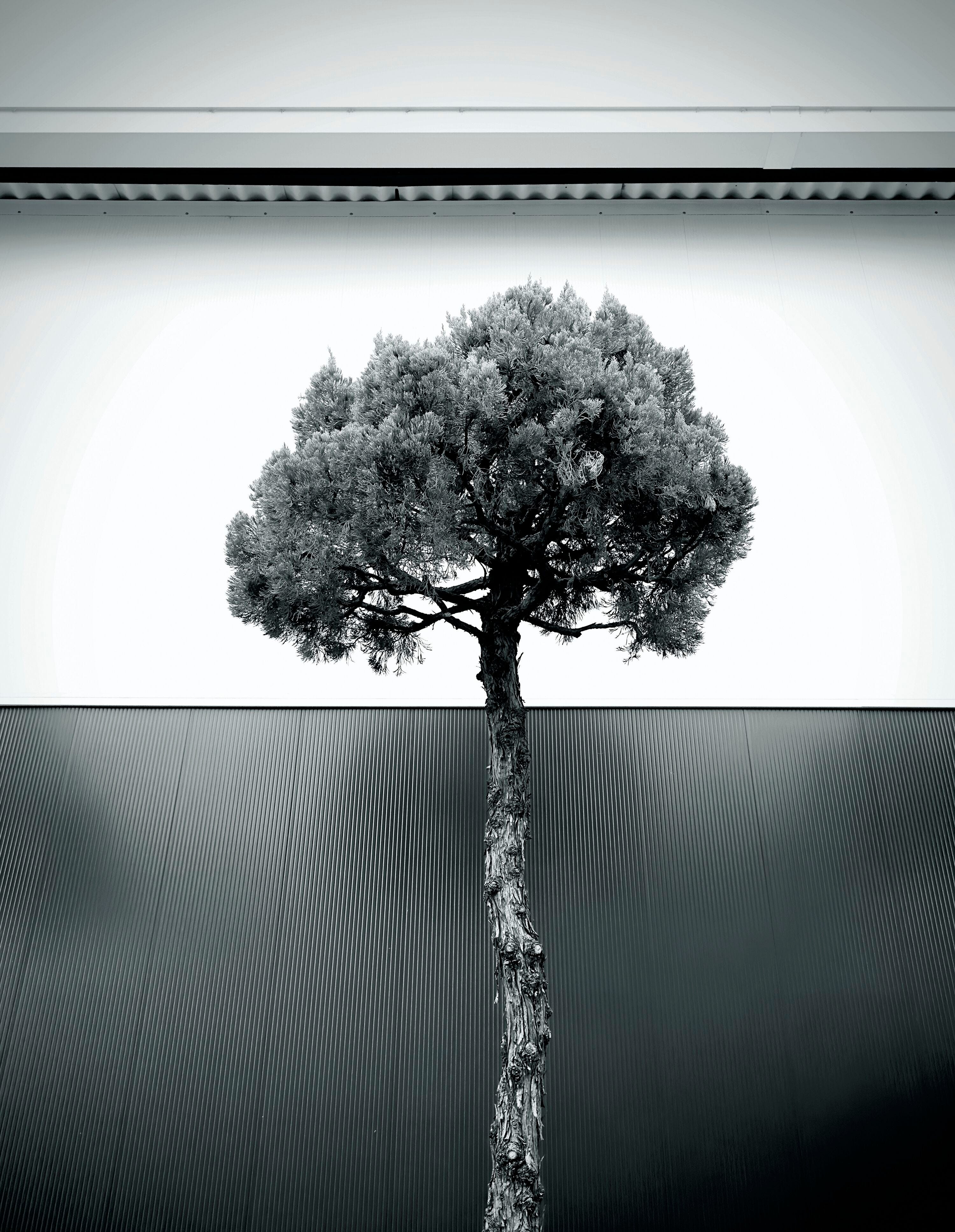 es2504-mic-11-3-3000-3000-72-