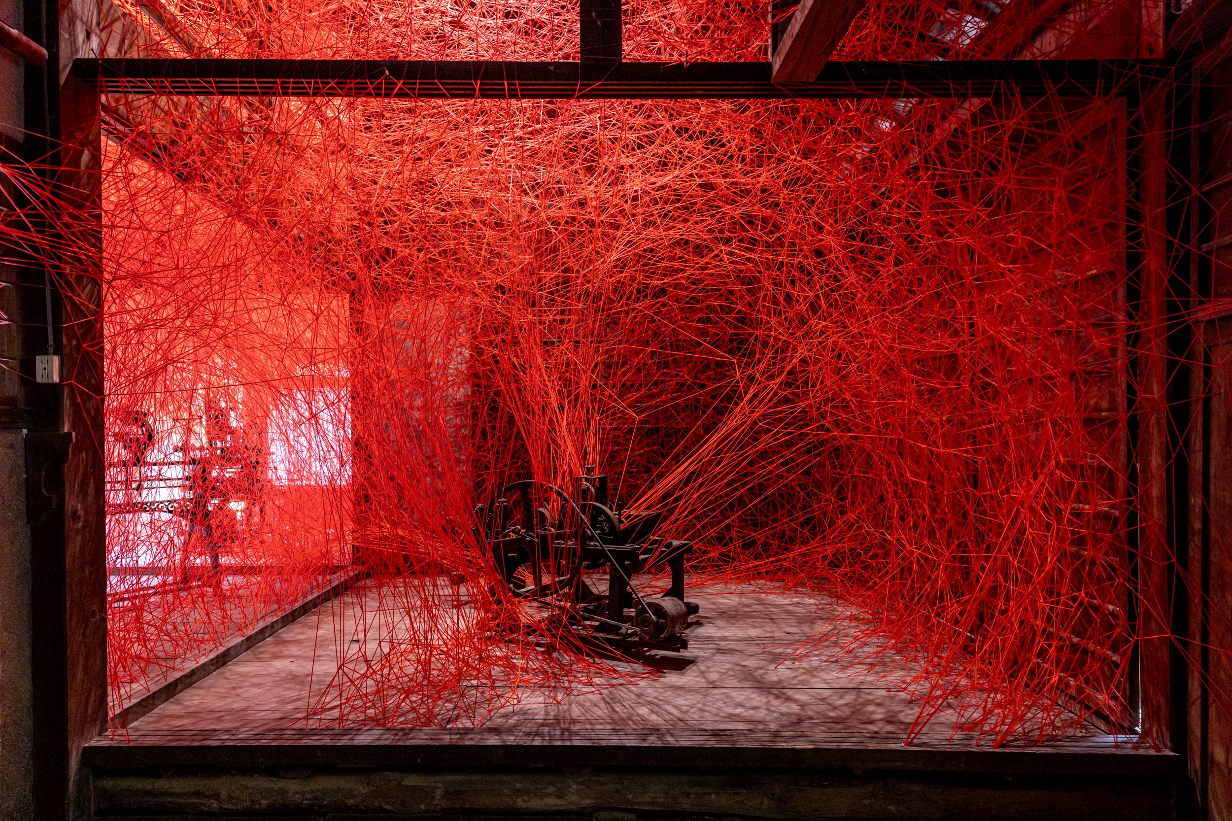 2025年】子供と行きたい「瀬戸内国際芸術祭」おすすめ作品15 | ELLE