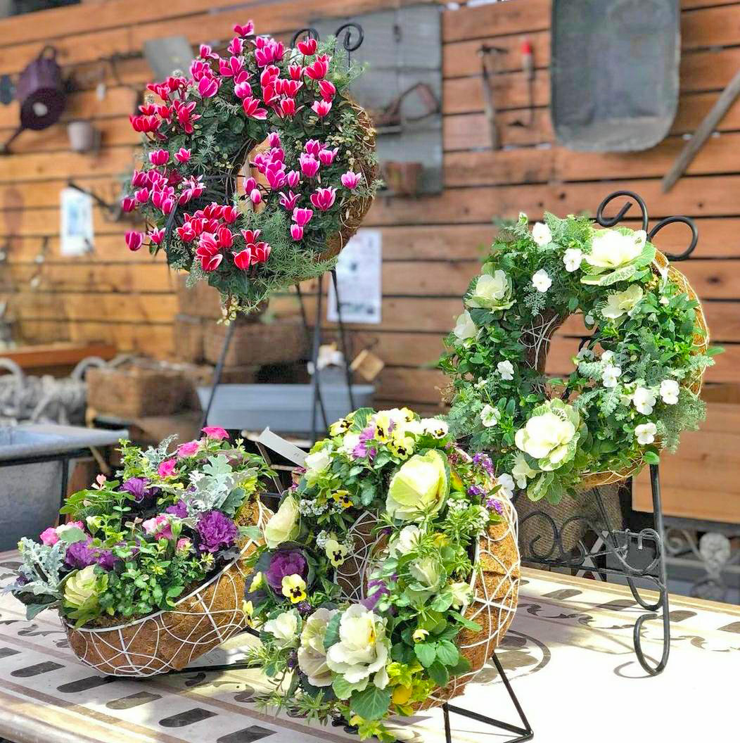 2020.11.27(金）11月は寄せ植えの月！ メルマガ・LINE＠会員様ご優待