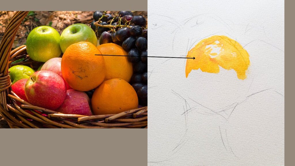 りんご・オレンジ・果物」を水彩で描く過程/水彩画研究⓶ | 旅する画家