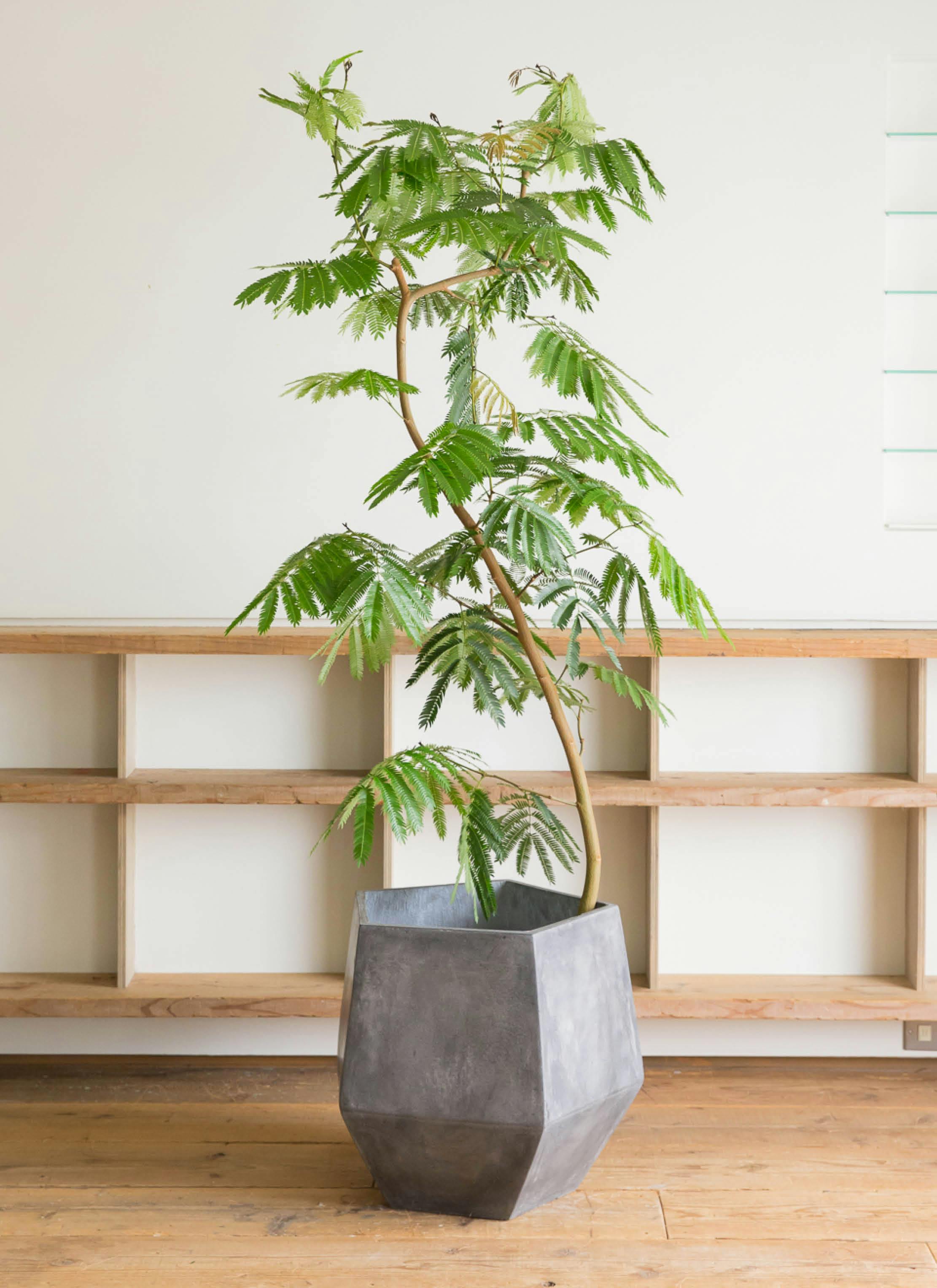 エバーフレッシュ 10号 曲がり | HitoHana（ひとはな）