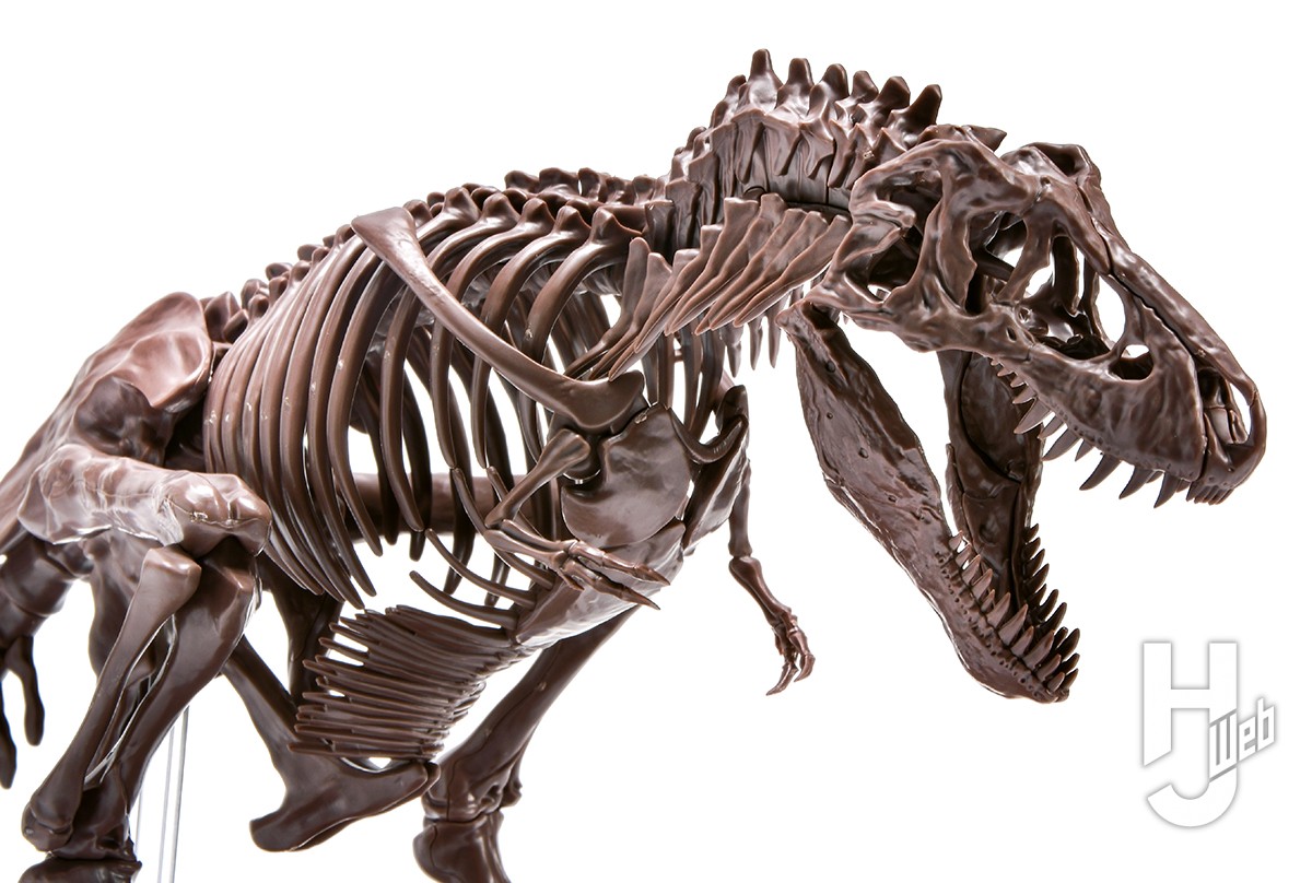 BANDAI SPIRITS 1/32 ティラノサウルス【OPEN THE BOX 気になるプラモ