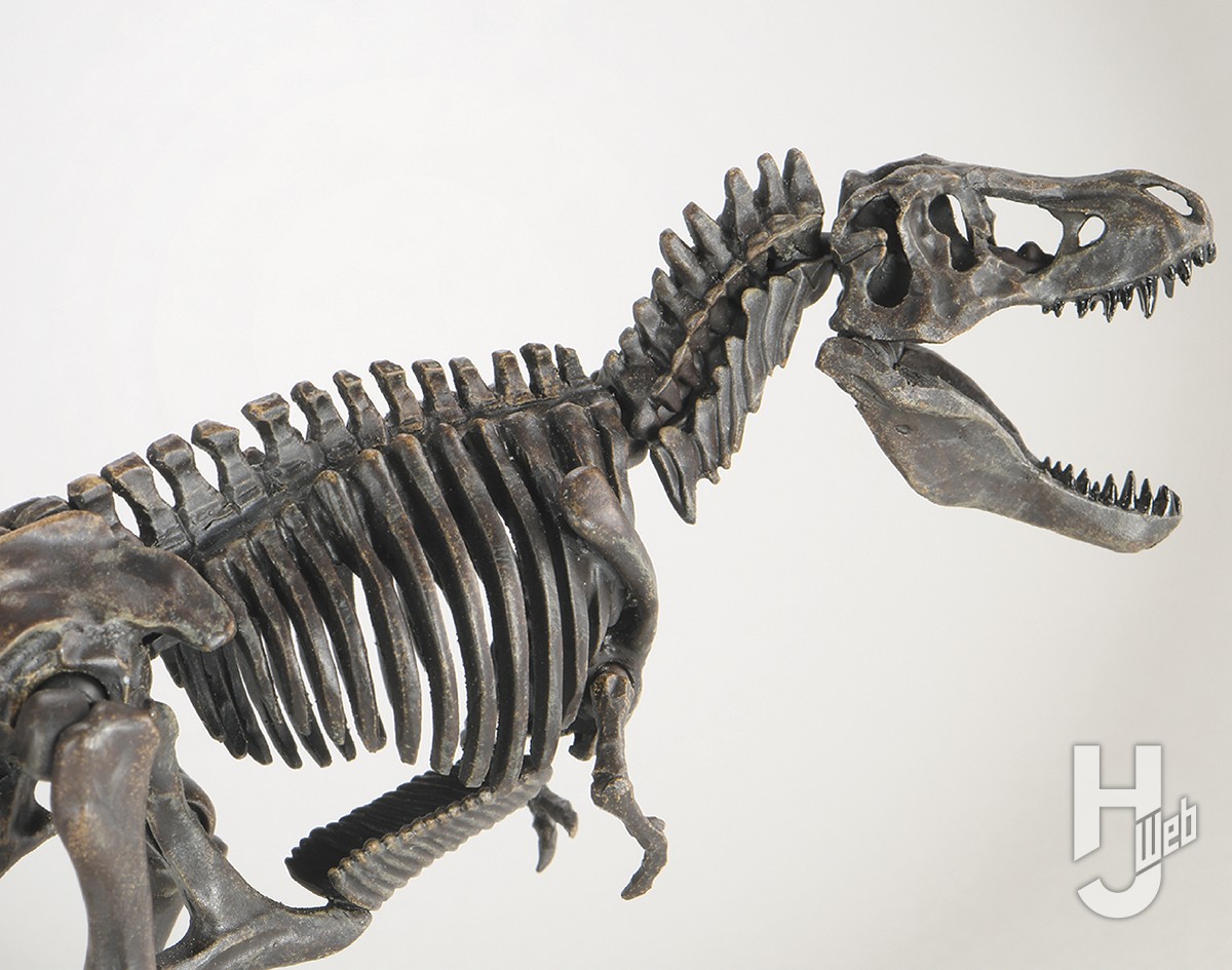 新連載】「プラノサウルス復元プロジェクト」！ティラノサウルスを化石