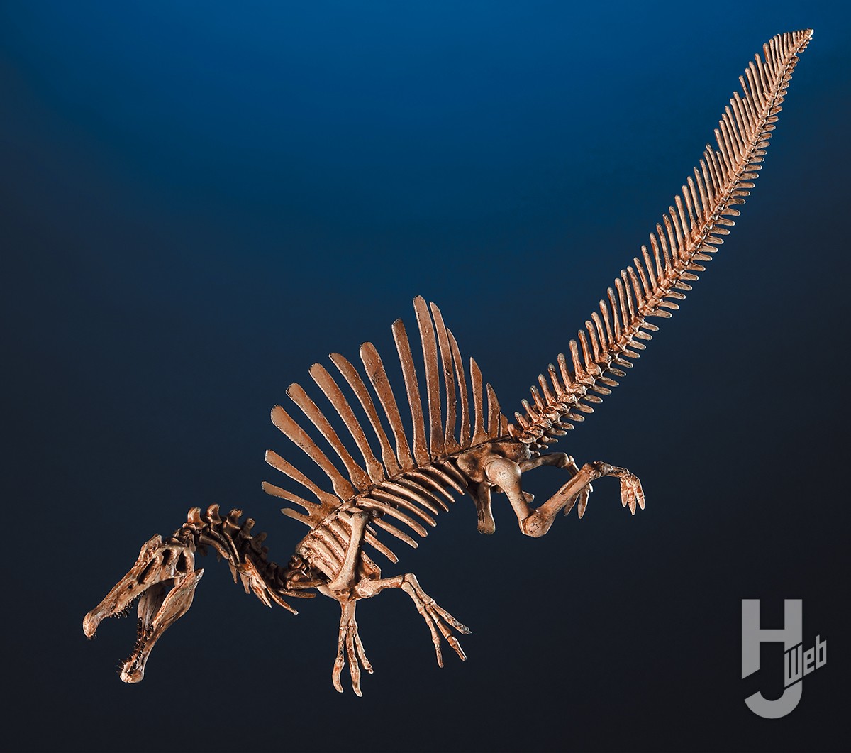 ジュラシックワールド』等で話題の「スピノサウルス」を最新復元