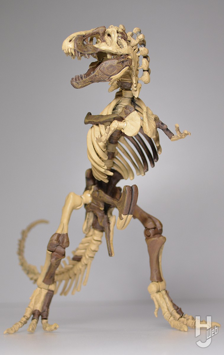 ティラノサウルス命名120周年記念！「チラノサウルス」として初めて