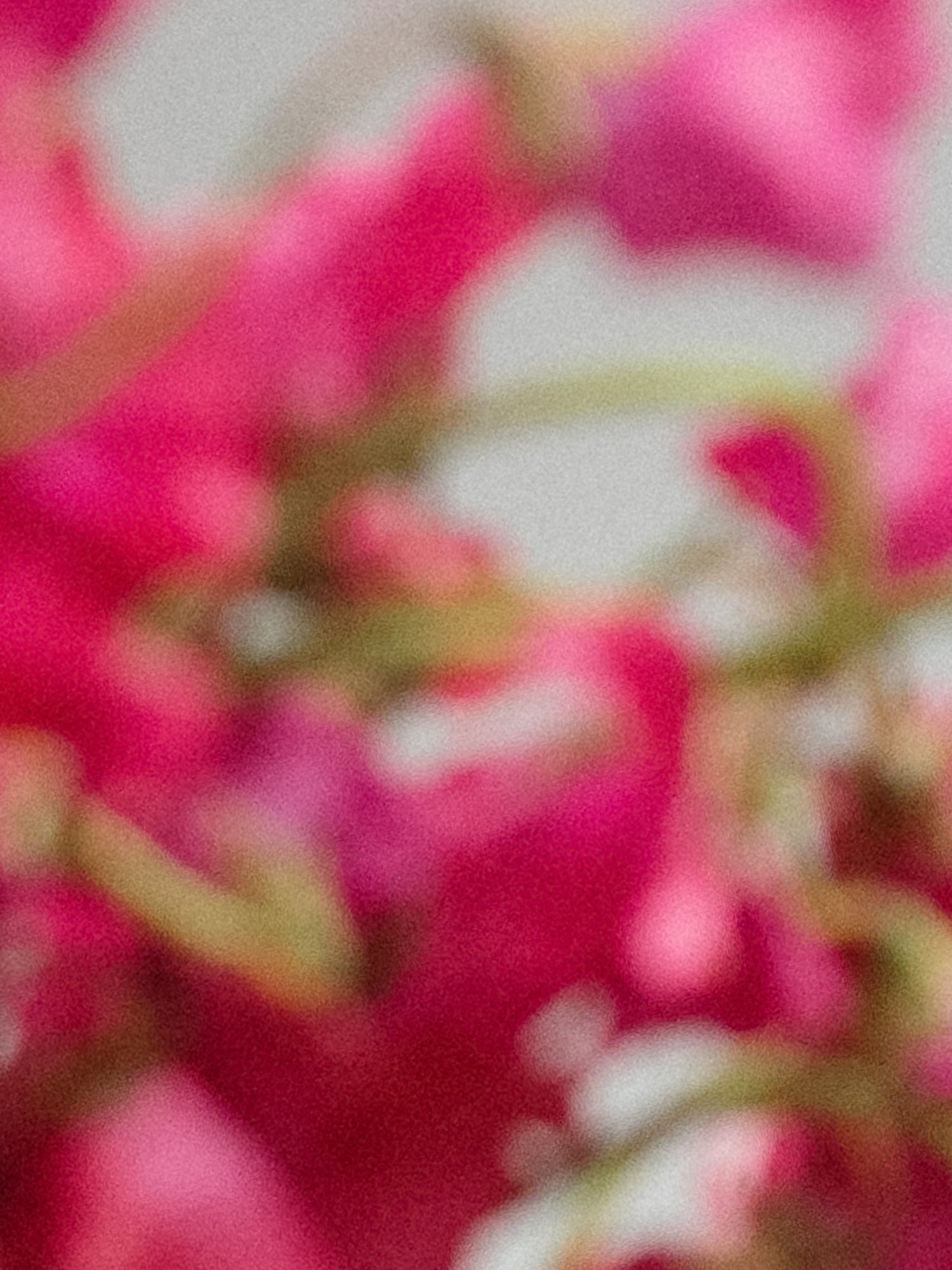 Cold Picnic Private Parts Boob Bath Mat