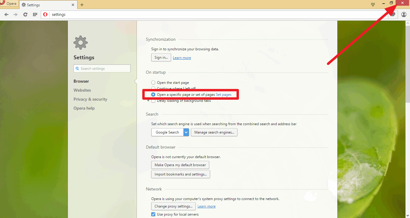 Homepage Ninja - How To Use a Custom Homepage with the Opera Web