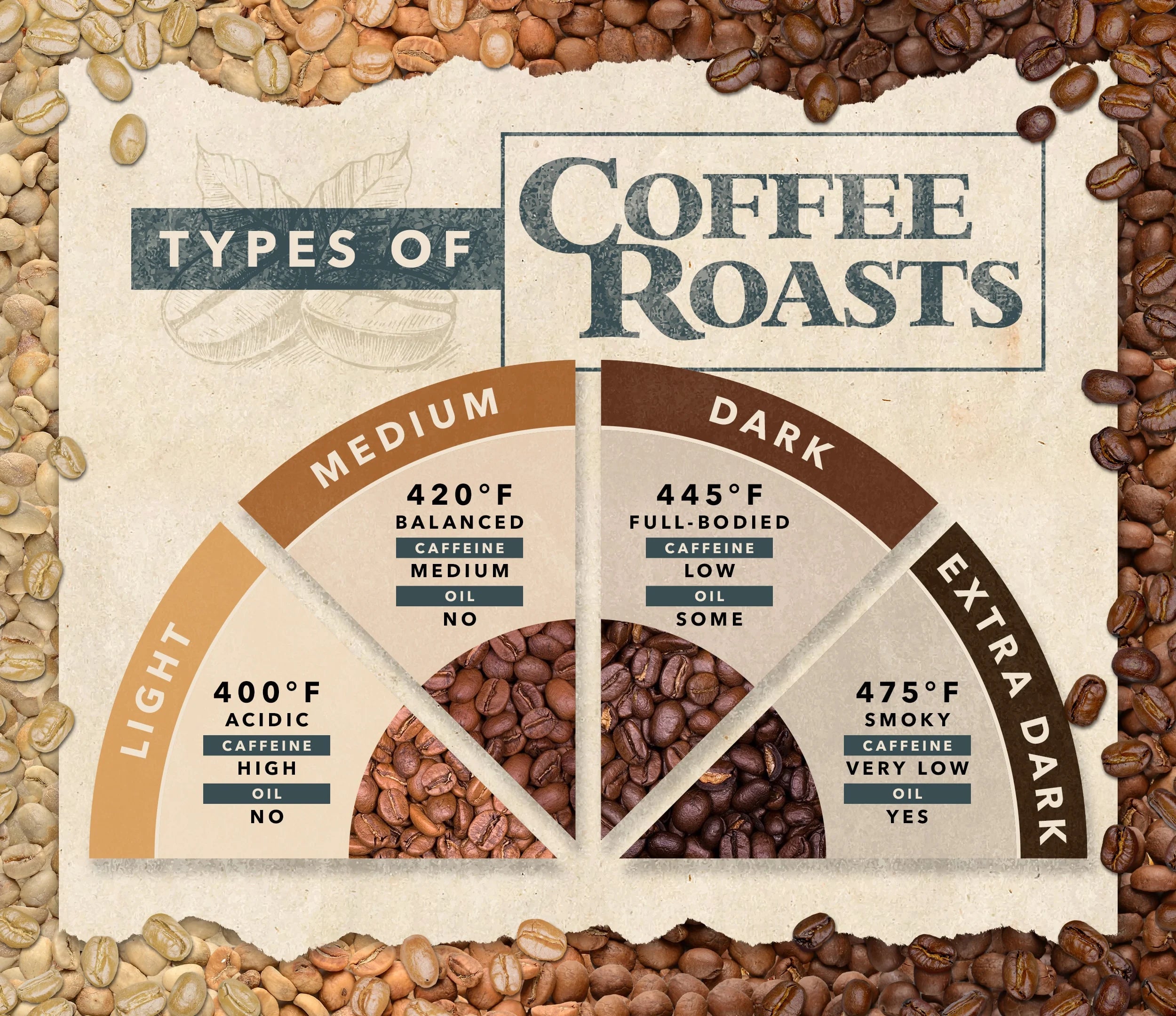Roast Profiles and Flavor Development: Unveiling the Science of