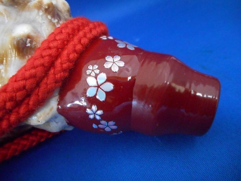 法螺貝（ほら貝）販売のお店