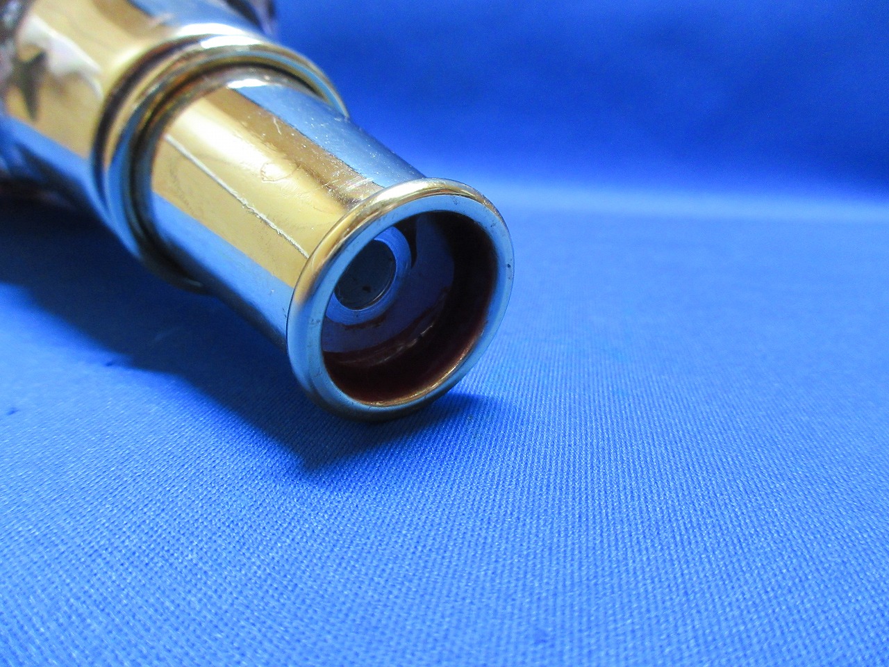 最高級 山伏修験法螺貝 黄金の吹口 桜吹雪 - 穂の国