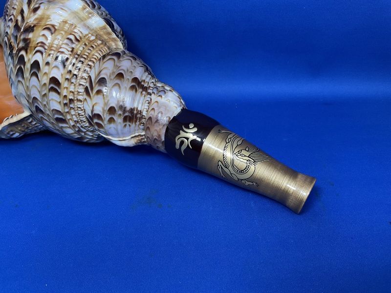 法螺貝（ほら貝）販売のお店