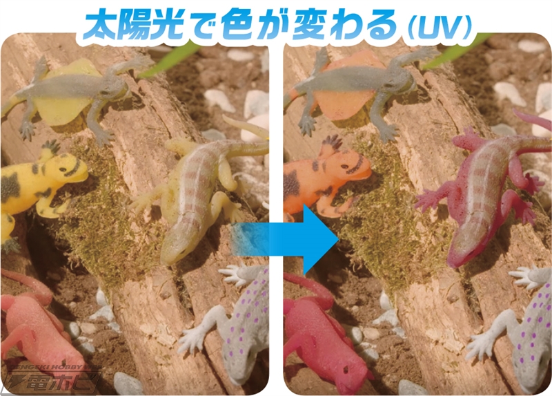 イグアナやトカゲが全22種！光る、色が変わるといったギミックが付いた
