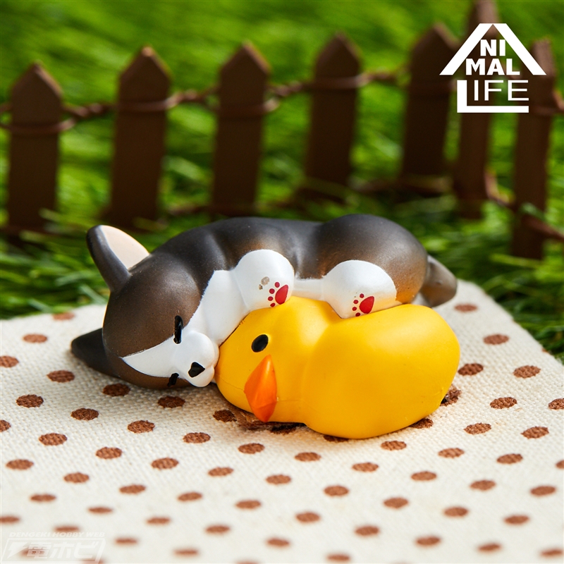 プリプリのお尻がキュート！コーギーのコレクションフィギュアが