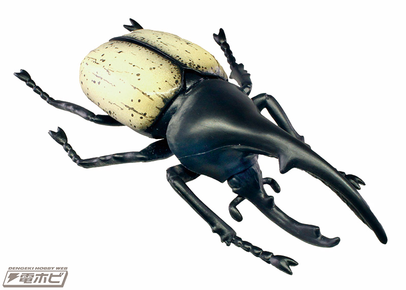 昆虫可動フィギュア「昆虫の森」が2020年もカプセルトイに登場！新種