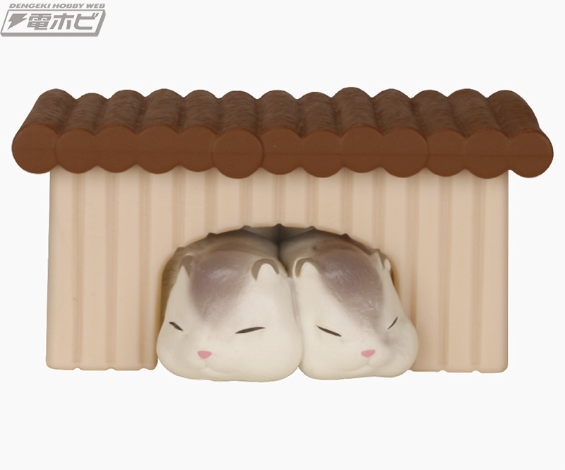 ハムスターがぎゅうぎゅうに集まれば可愛さはさらに倍増！ハムスターの