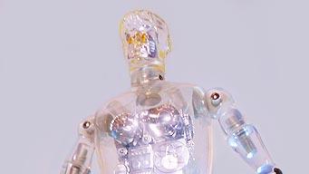 変身サイボーグ1号・タカラ【606】 | ホビービルドプラス 変身