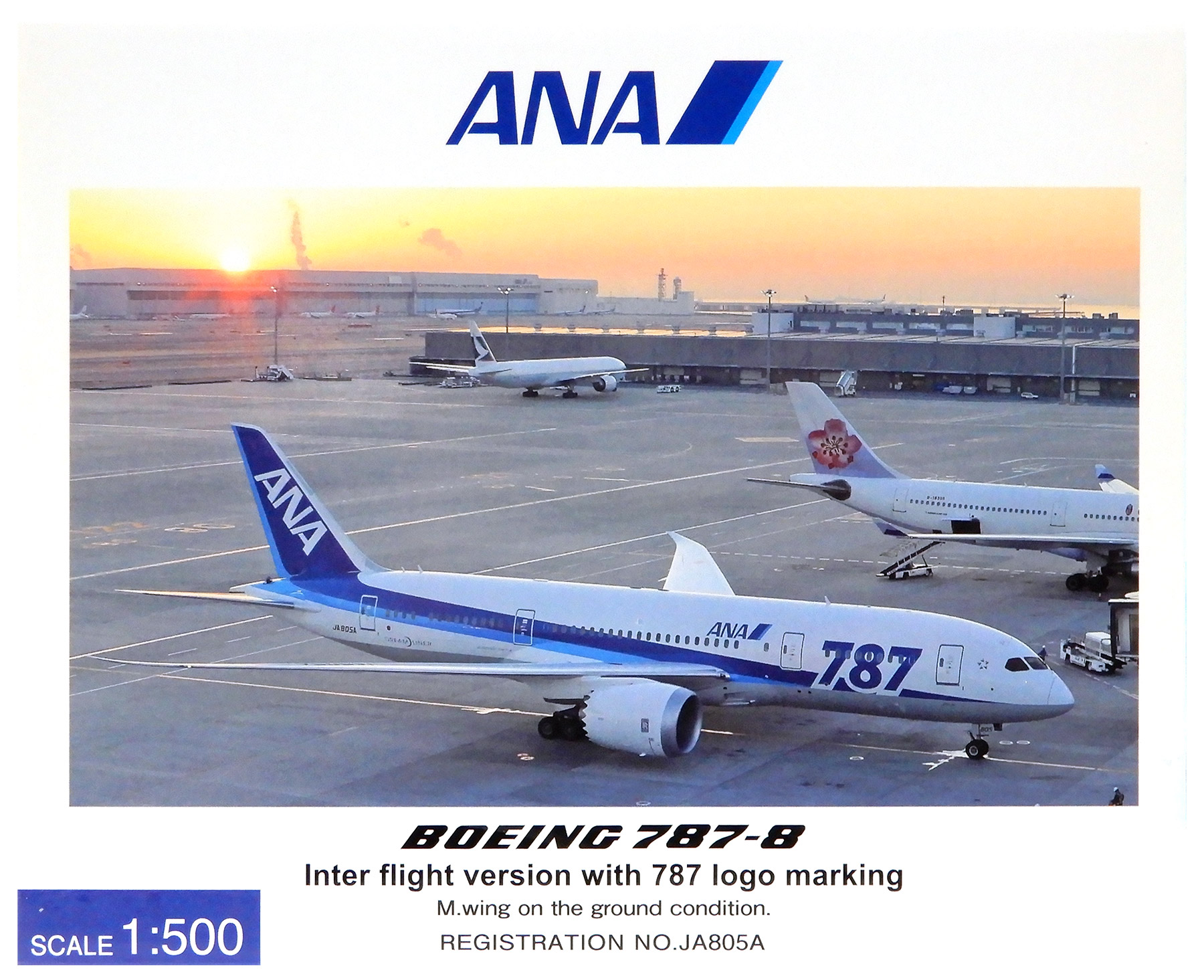 公式]TOY(ANA B787-8 国際線仕様 787ロゴ 主翼地上姿勢 JA805A)商品