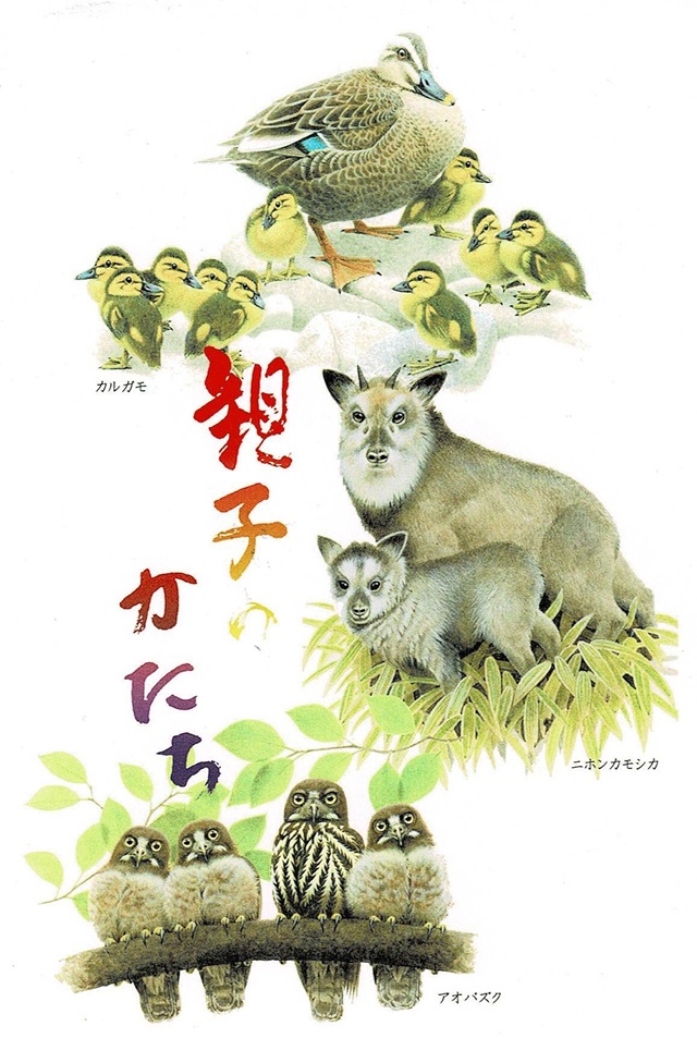 野鳥画家「木部一樹」アクリル画うそ