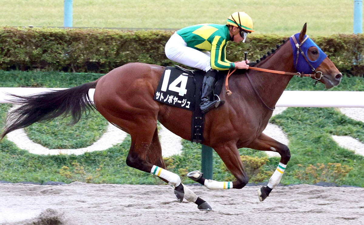 オキザリス賞】5馬身差の圧勝で決めた1番人気サトノボヤージュ 岩田