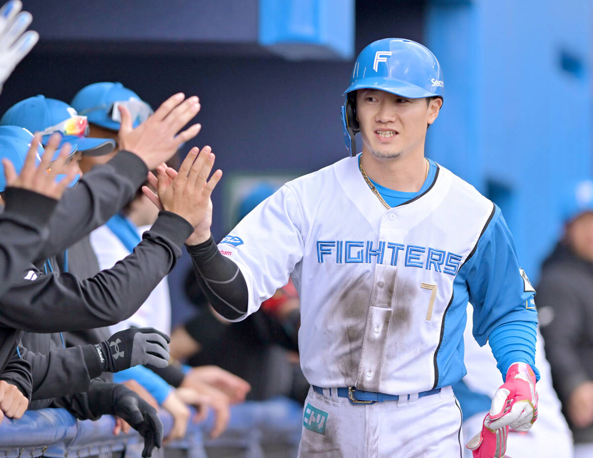 日本ハム】東京六大学244打席で0本塁打 山県秀がまさかの2打席