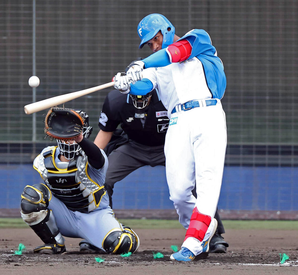 日本ハム】東京六大学244打席で0本塁打 山県秀がまさかの2打席