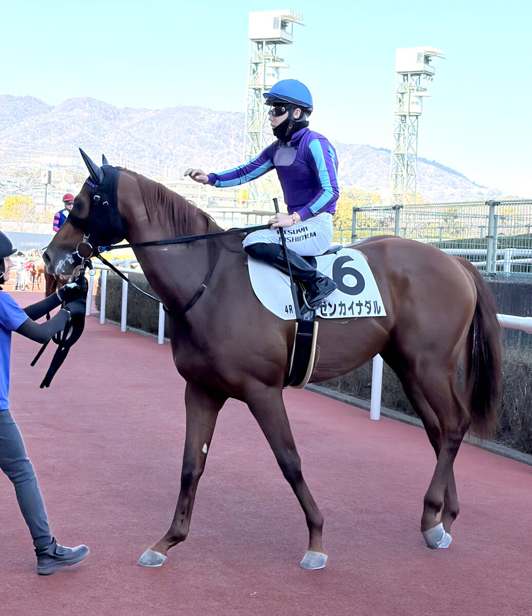 やっべえぞ！」「その名に恥じない走り」3歳世代最後の新馬戦は末脚