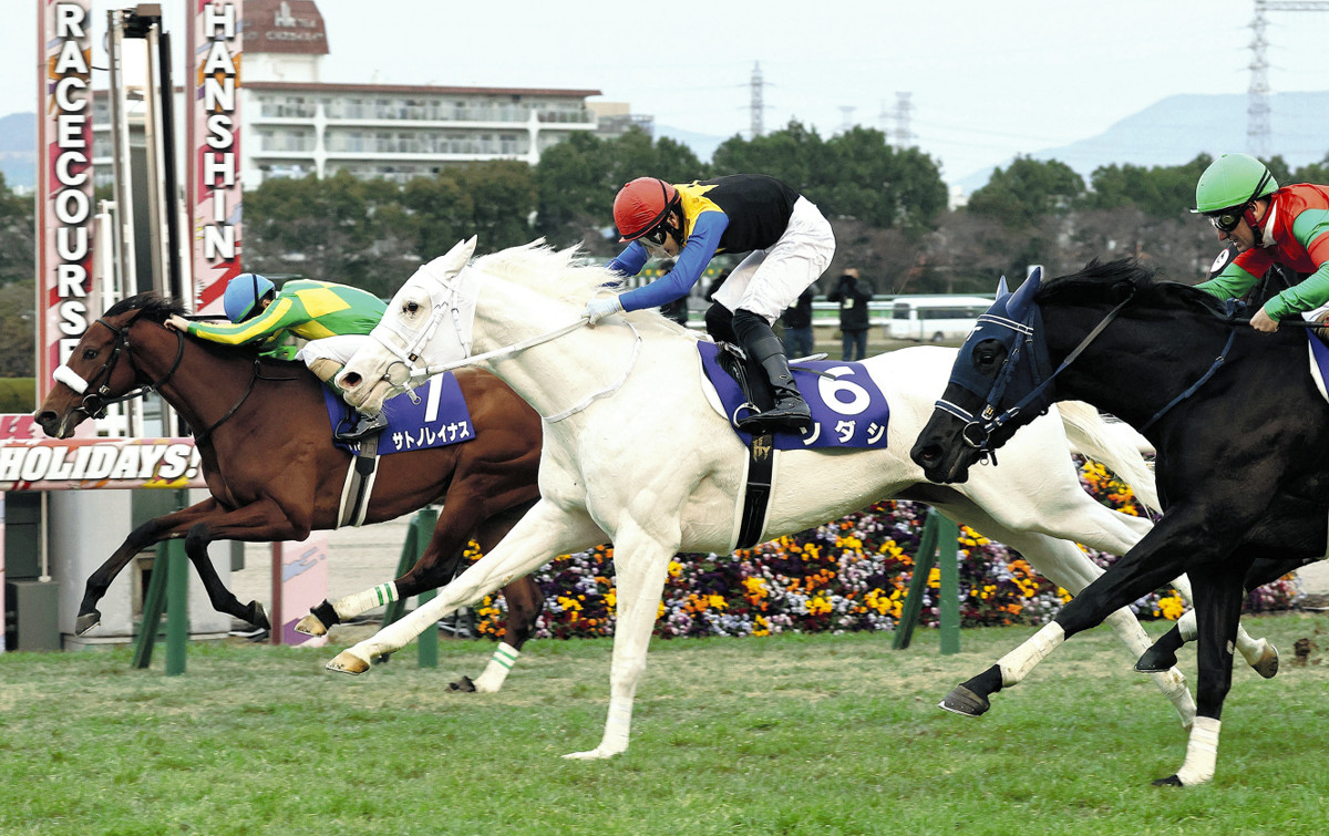 阪神JF】ソダシ、7センチ差で歴史的白星！無傷4連勝で白毛馬初の
