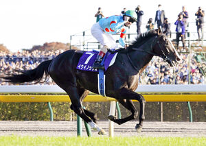 天皇賞・秋】イクイノックス1分55秒2の驚異的レコードV 史上6