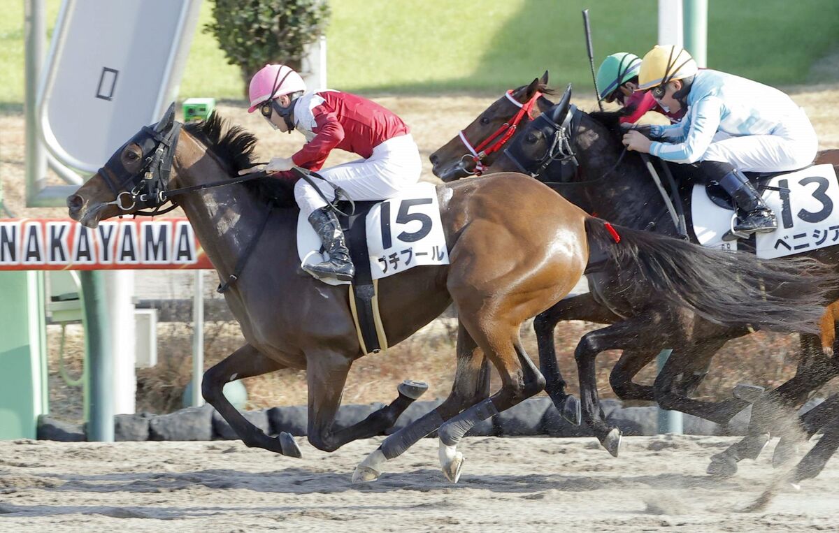 中山6R・2歳新馬】サトノクラウン産駒プチブールが接戦制す 小林凌