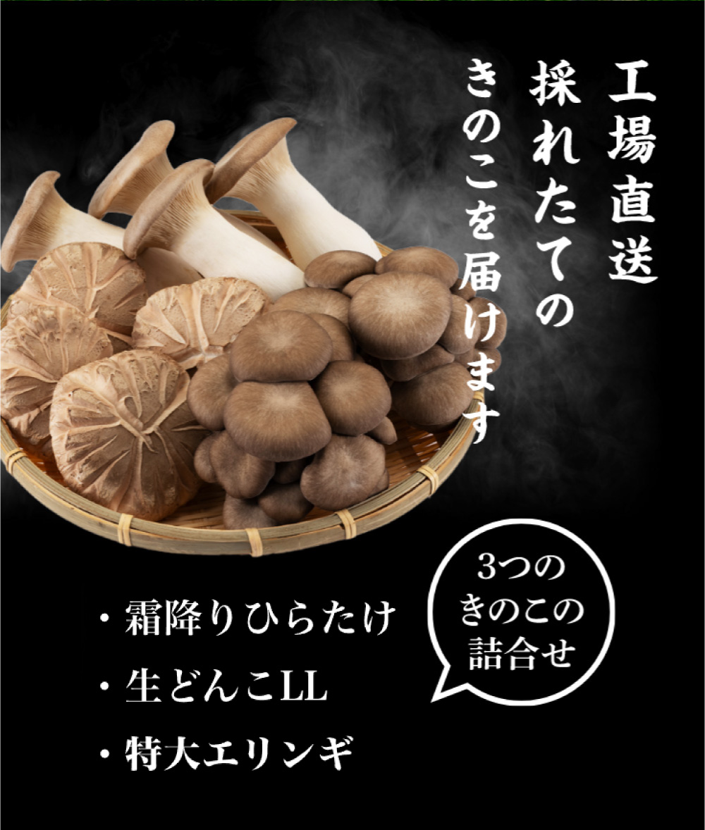 数量限定》【2026/3/21出荷予定】【クール便送料無料】ホクト厳選