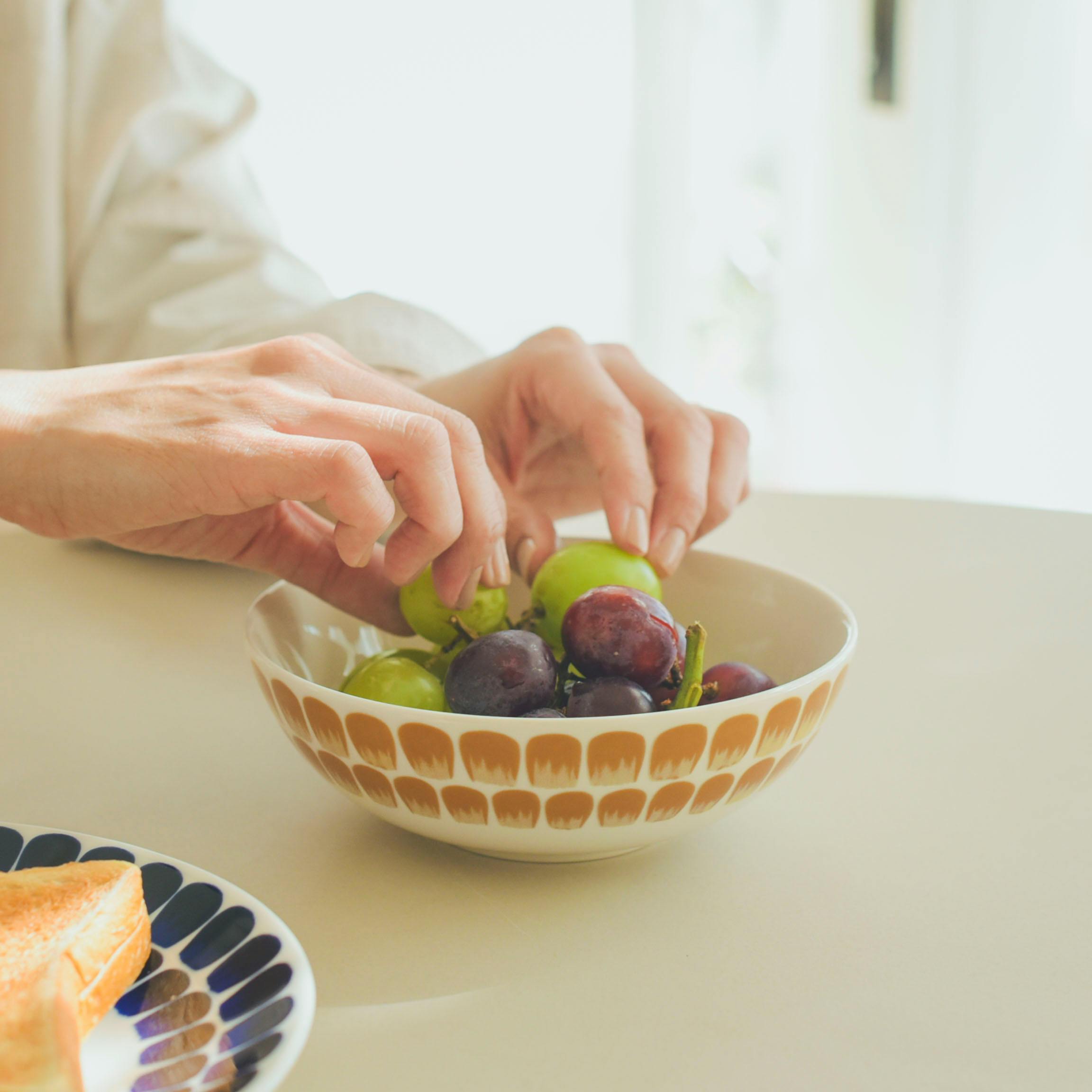 ARABIA / アラビア / 24H / TUOKIO / トゥオキオ / ボウル（16cm